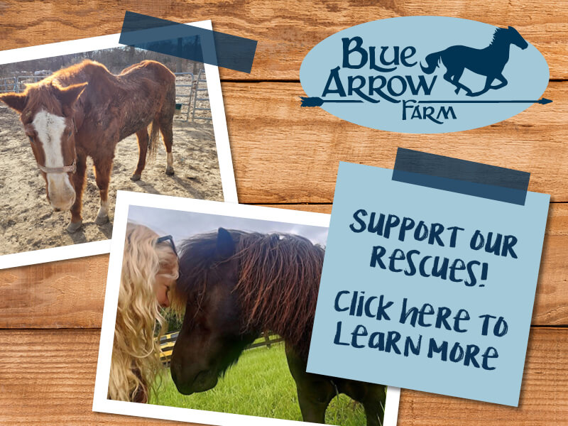 Support our rescues! Click here to learn more