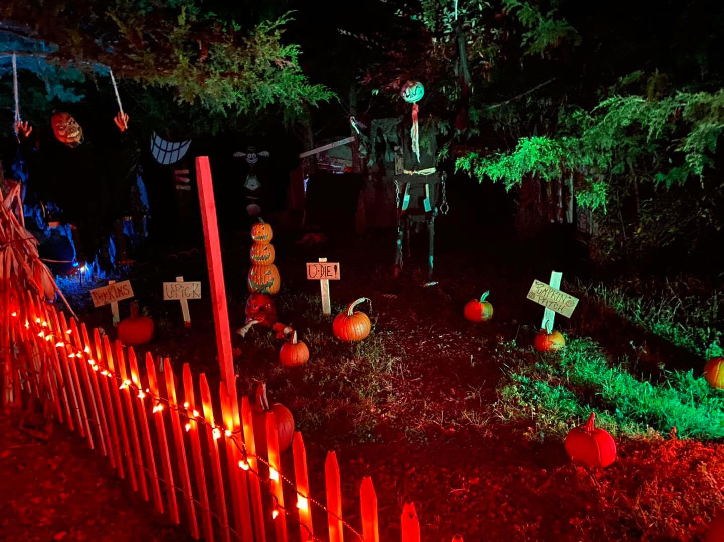 A pumpkin patch at night with orange Halloween lights and scary decorations