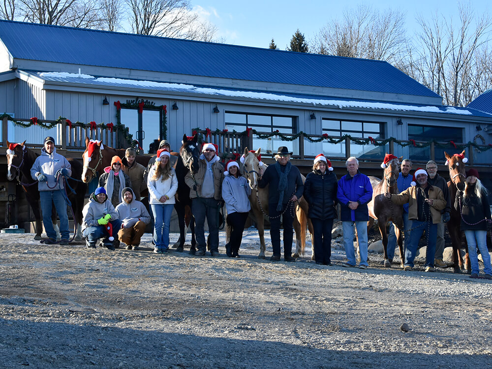 Blue Arrow Farm